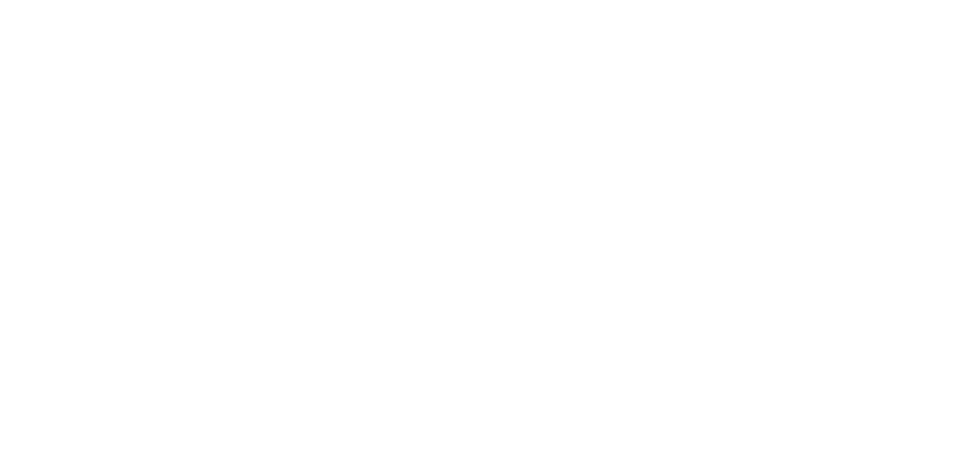 Titan Asset Protection logo